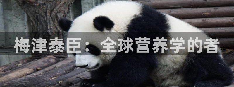 歪歪漫画在线sss入口视频